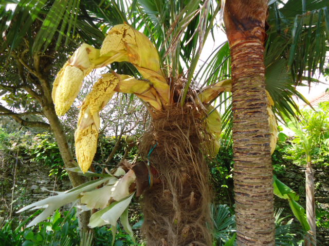 DSC01268.JPG