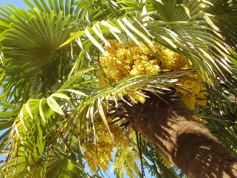 27 mai 2013 (2).JPG