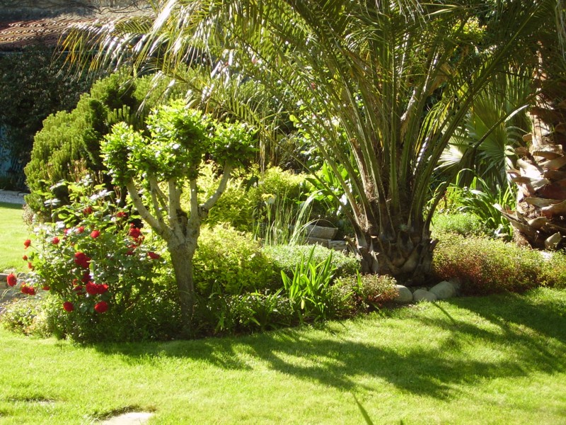 27 mai 2013 (33).JPG
