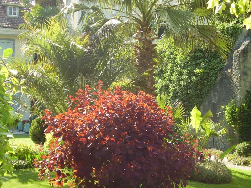27 mai 2013 (7).JPG