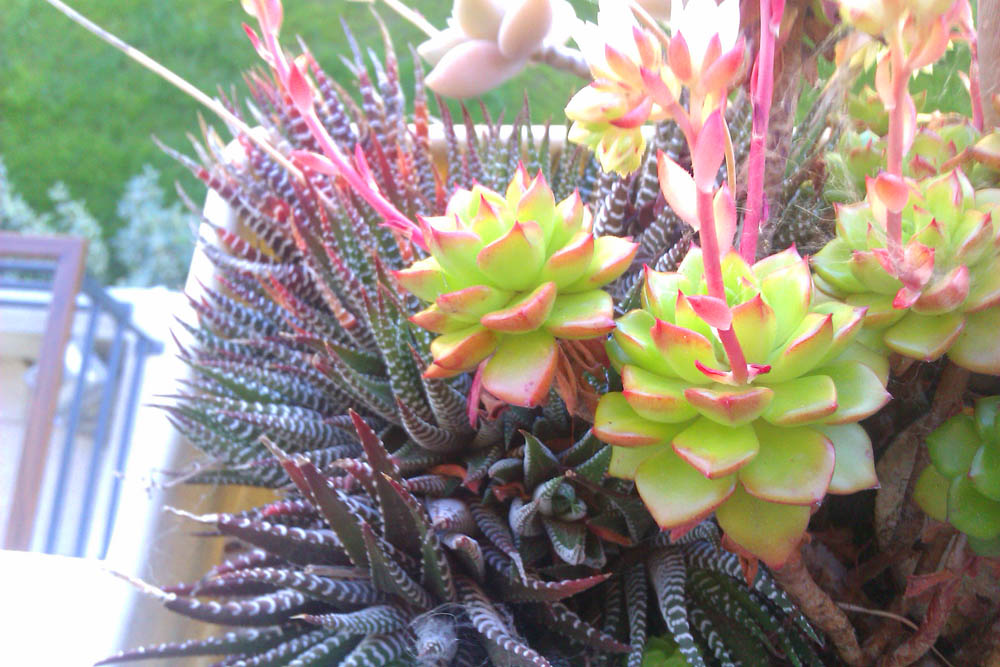 IMAG0371.jpg