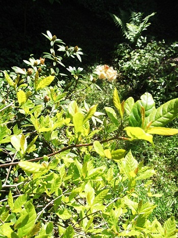 DSCF4320.JPG