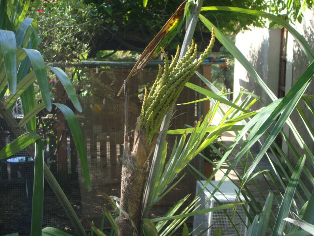 DSC01700.JPG