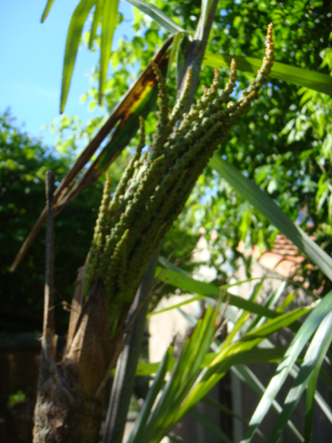 DSC01699.JPG