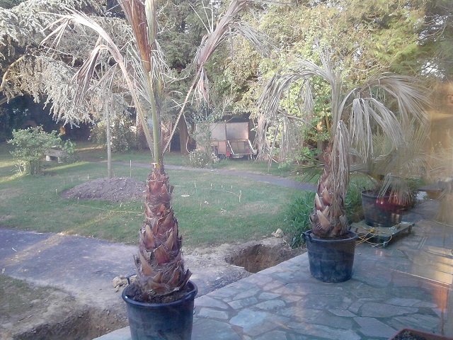 P040613_06.53_[01].jpg