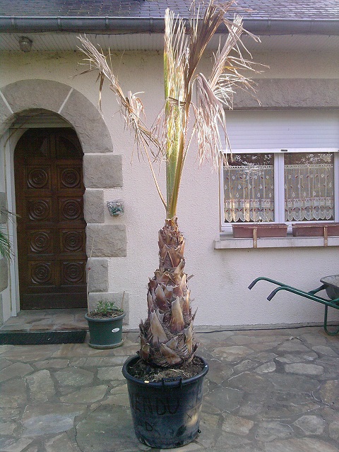 P040613_07.17.jpg