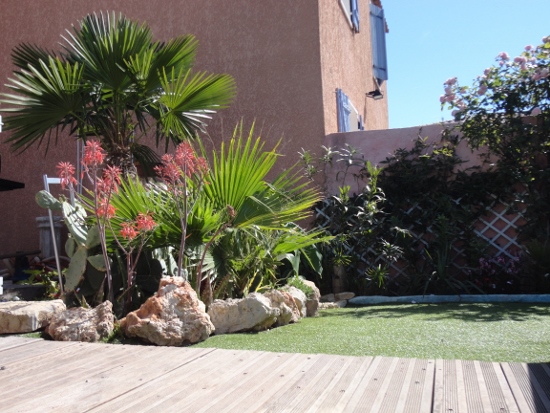 DSC03849 (550x413).jpg