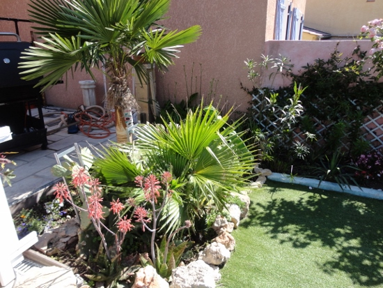 DSC03854 (550x413).jpg