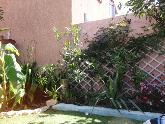 DSC03857 (550x413).jpg