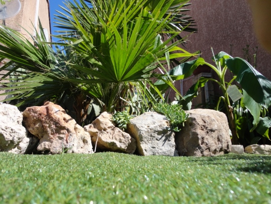 DSC03858 (550x413).jpg