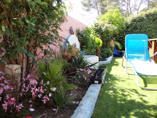 DSC03863 (550x413).jpg