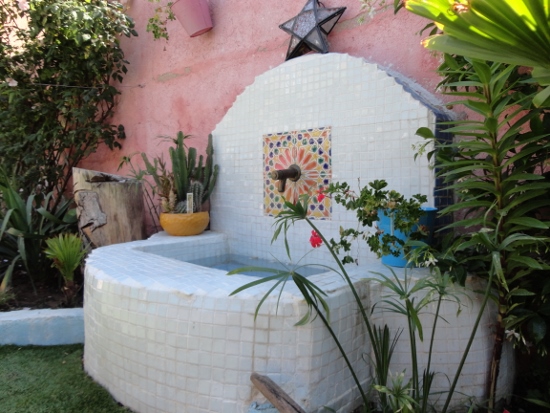 DSC03864 (550x413).jpg