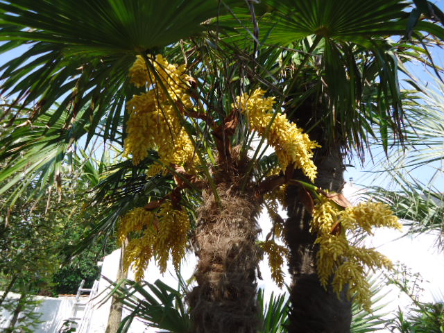 DSC01307.JPG