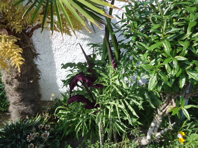 DSC01309.JPG