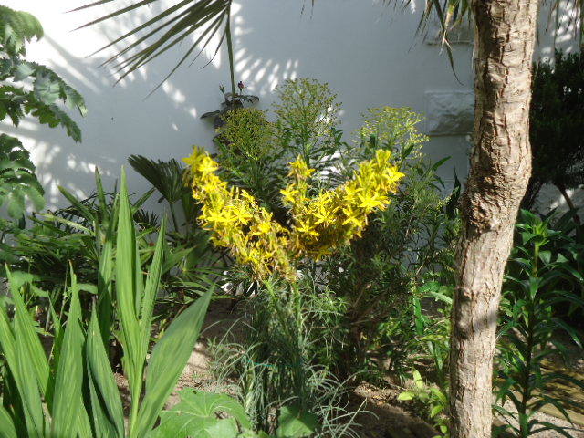 DSC01308.JPG