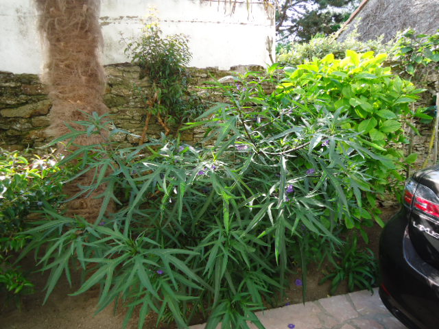 DSC01314.JPG