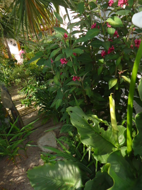 DSC01311.JPG