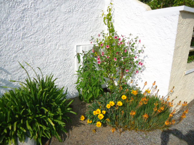 DSC01310.JPG
