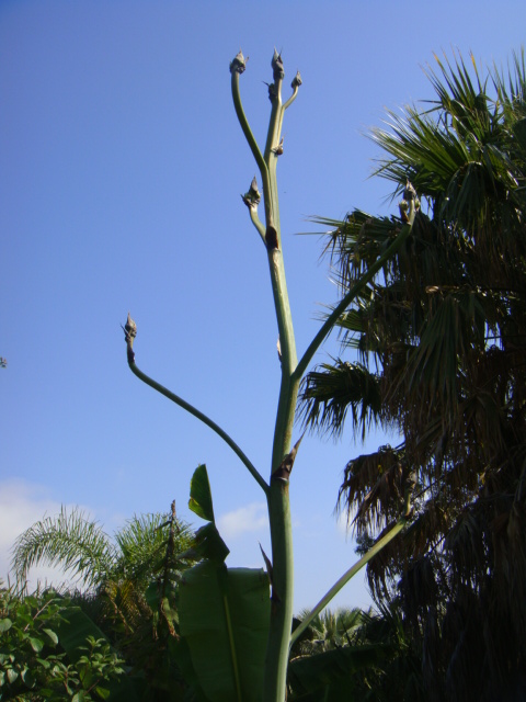 DSC05035.JPG
