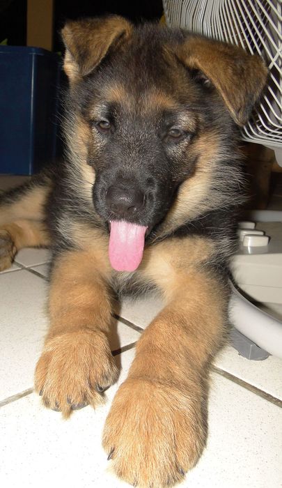 2013-05-22_09 Copie.jpg