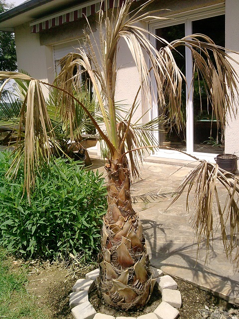 P170613_13.42_[02].jpg