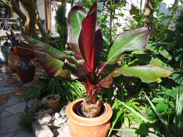 DSC01328.JPG