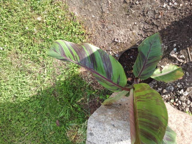 2013-06-21 19.34.30.jpg
