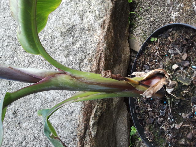 2013-06-22 15.36.36.jpg