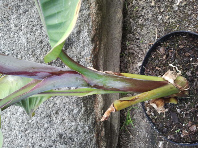 2013-06-22 15.36.59.jpg