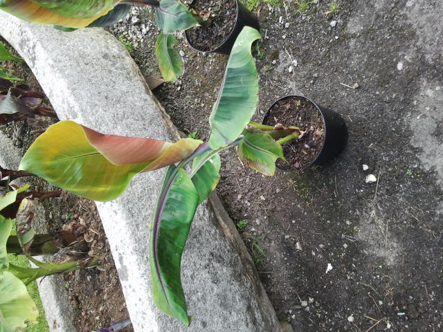 2013-06-22 15.37.22.jpg