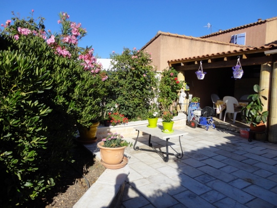 DSC03896 (540x405).jpg