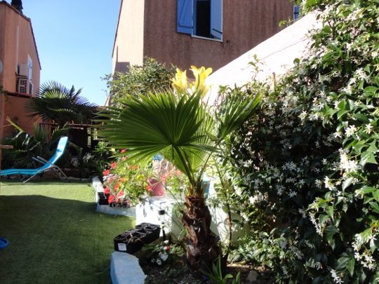 DSC03907 (540x405).jpg