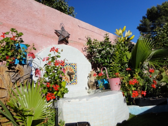 DSC03911 (540x405).jpg