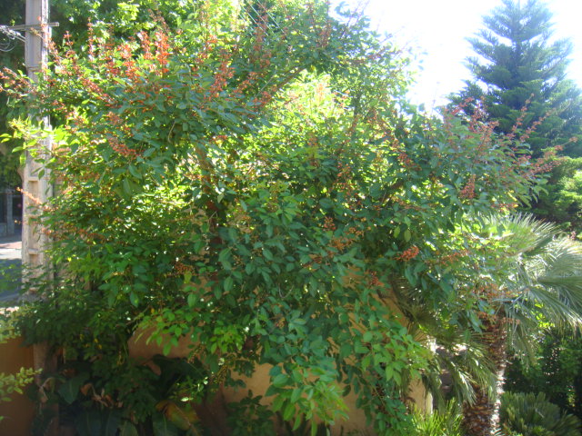 DSC05058.JPG