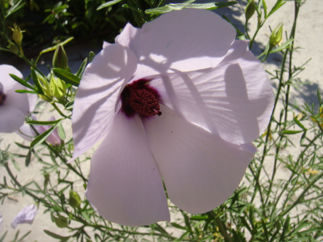 DSC05053.JPG