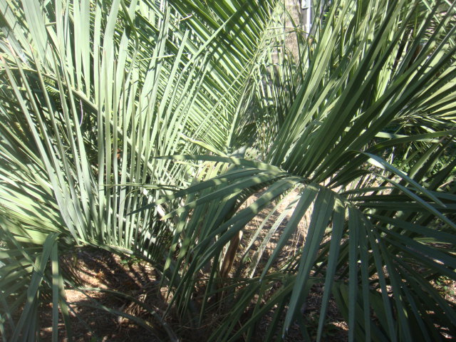 DSC05060.JPG