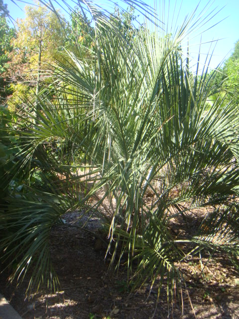 DSC05059.JPG