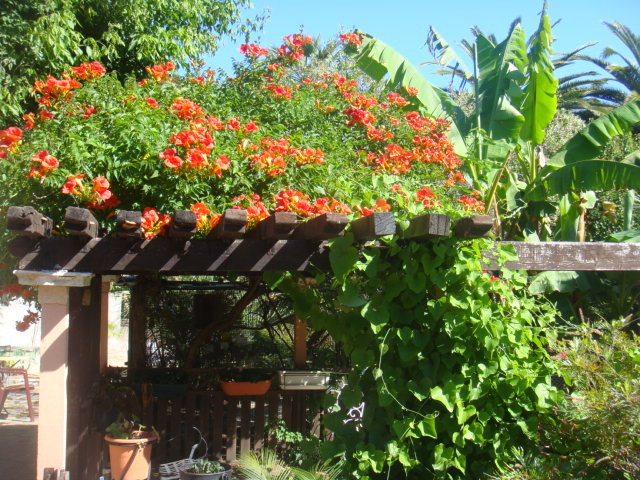 DSC05064.JPG