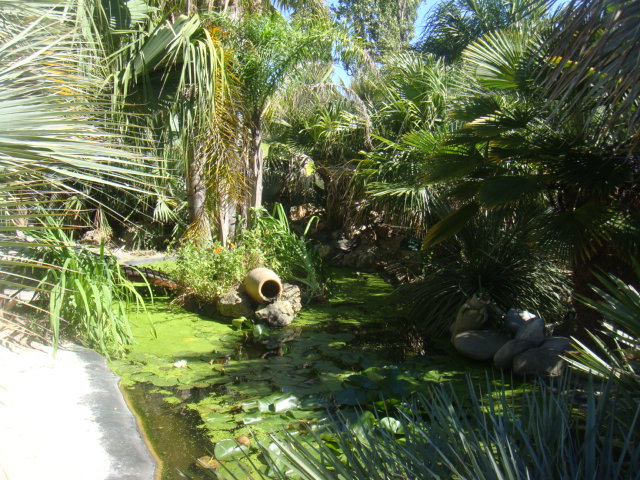 DSC05071.JPG