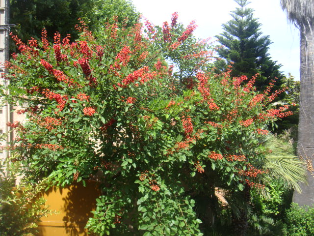 DSC05080.JPG