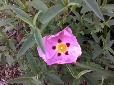 2013-06-22 18.04.27.jpg