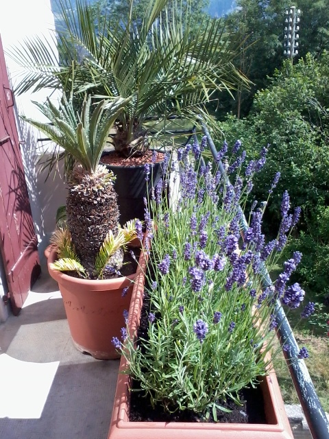 2013-06-22 16.03.09.jpg