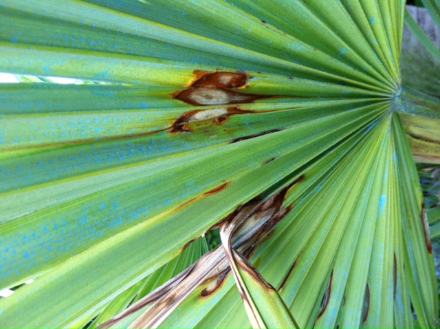 photo.JPG