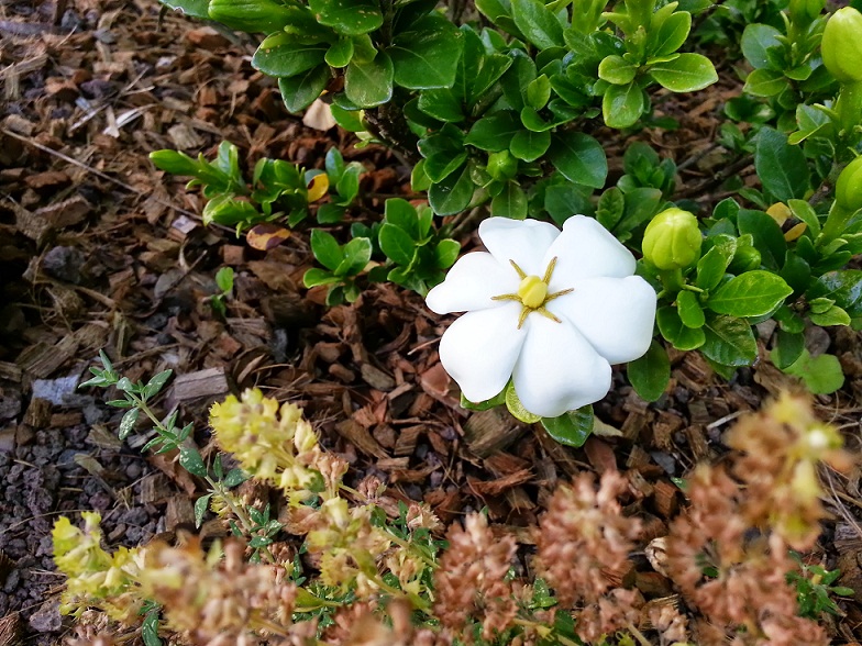 20130701_081400.jpg