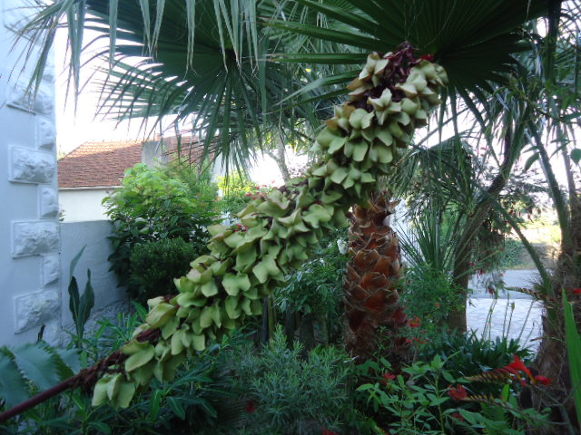 DSC01340.JPG