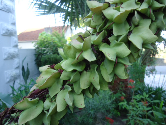 DSC01341.JPG