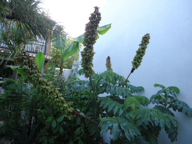 DSC01345.JPG