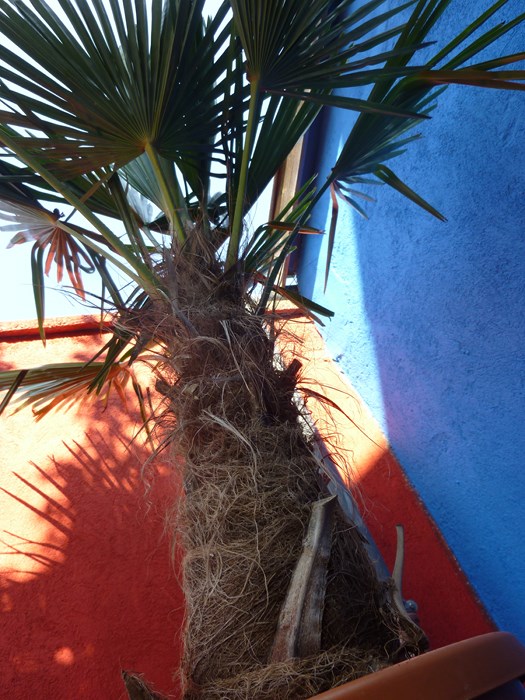 P1070256 (Copier).JPG