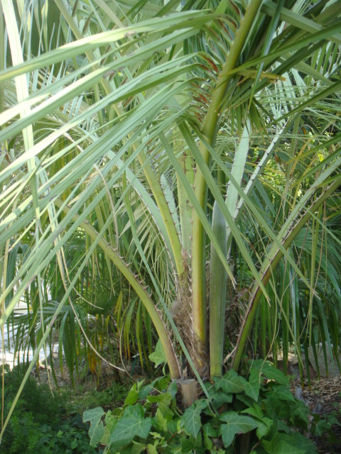 DSC05101.JPG