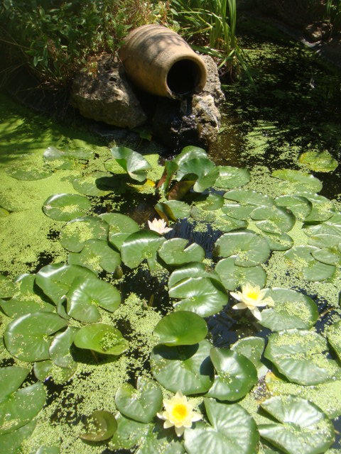 DSC05096.JPG